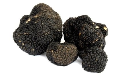 Tartufo nero di Norcia