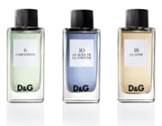 DG Fragrance Anthology DG Fragrance Anthology