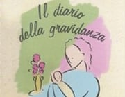 Il Diario Della Gravidanza Il Diario Della Gravidanza