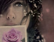 Il Linguaggio Segreto Dei Fiori Il Linguaggio Segreto Dei Fiori