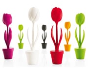 Tulip di MyYour Tulip di MyYour