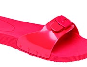 Scholl Pop