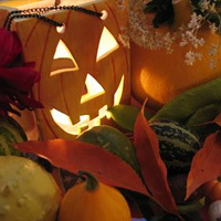 Scopri la vetrina di Halloween. Festeggia alla grande!